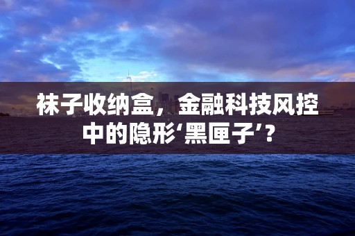 袜子收纳盒，金融科技风控中的隐形‘黑匣子’？