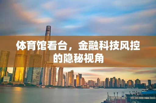 体育馆看台，金融科技风控的隐秘视角