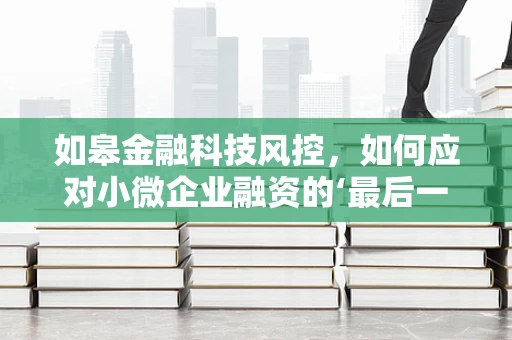 如皋金融科技风控，如何应对小微企业融资的‘最后一公里’挑战？