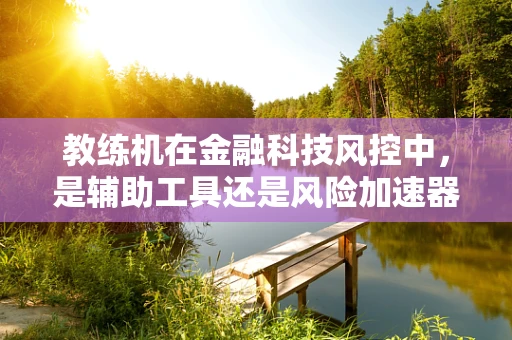 教练机在金融科技风控中，是辅助工具还是风险加速器？