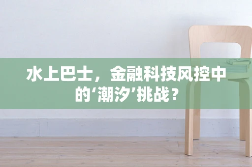 水上巴士，金融科技风控中的‘潮汐’挑战？