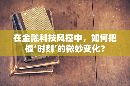 在金融科技风控中，如何把握‘时刻’的微妙变化？