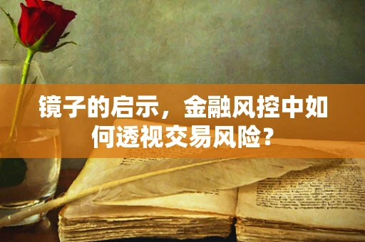 镜子的启示，金融风控中如何透视交易风险？