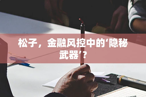 松子，金融风控中的‘隐秘武器’？