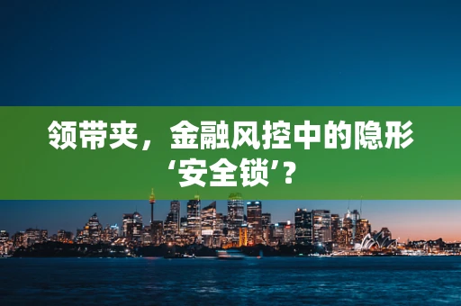 领带夹，金融风控中的隐形‘安全锁’？
