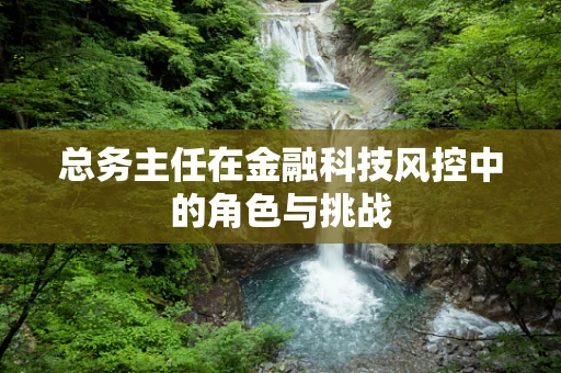 总务主任在金融科技风控中的角色与挑战