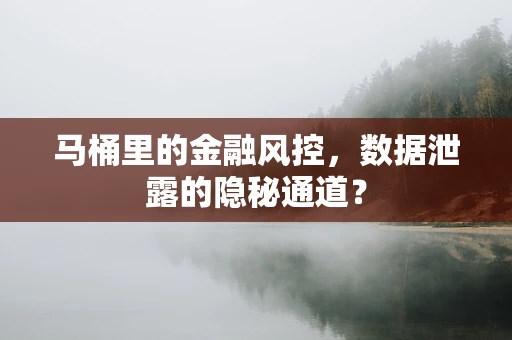 马桶里的金融风控，数据泄露的隐秘通道？