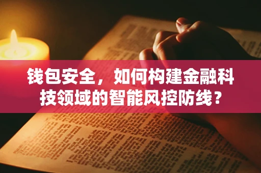 钱包安全，如何构建金融科技领域的智能风控防线？