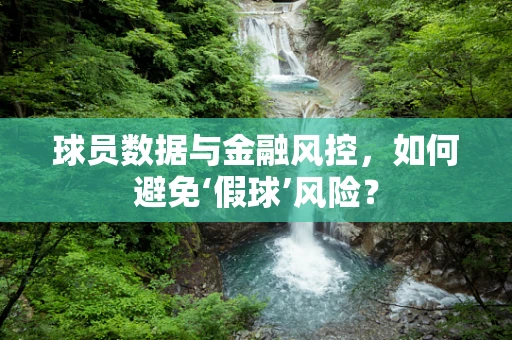 球员数据与金融风控，如何避免‘假球’风险？