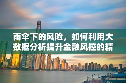 雨伞下的风险，如何利用大数据分析提升金融风控的精准度？