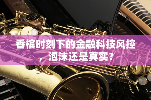 香槟时刻下的金融科技风控，泡沫还是真实？