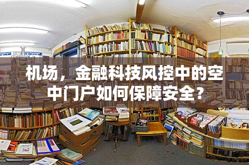 机场，金融科技风控中的空中门户如何保障安全？