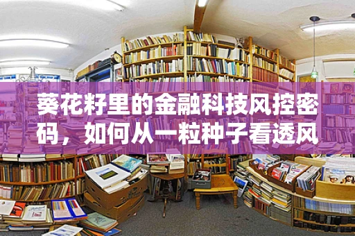 葵花籽里的金融科技风控密码，如何从一粒种子看透风险？