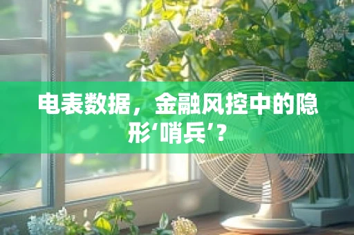 电表数据，金融风控中的隐形‘哨兵’？