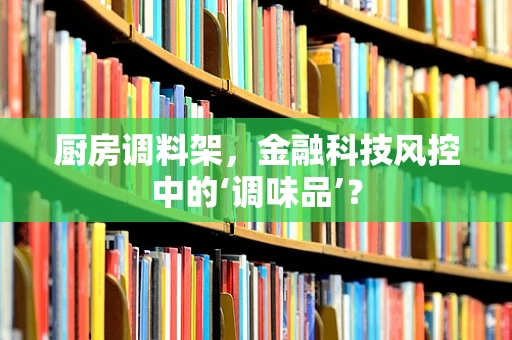 厨房调料架，金融科技风控中的‘调味品’？