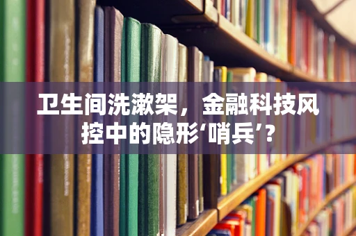 卫生间洗漱架，金融科技风控中的隐形‘哨兵’？