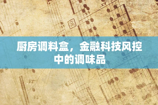 厨房调料盒，金融科技风控中的调味品