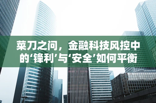 菜刀之问，金融科技风控中的‘锋利’与‘安全’如何平衡？