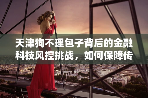 天津狗不理包子背后的金融科技风控挑战，如何保障传统美食的数字化支付安全？