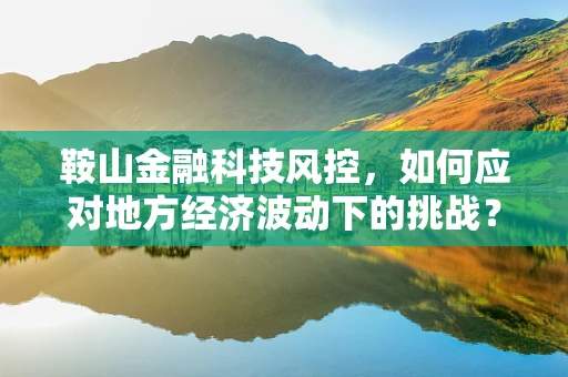 鞍山金融科技风控，如何应对地方经济波动下的挑战？