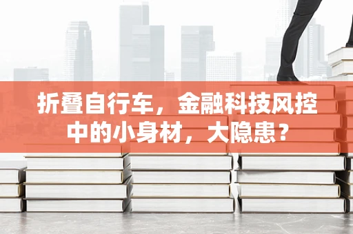 折叠自行车，金融科技风控中的小身材，大隐患？