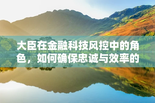 大臣在金融科技风控中的角色，如何确保忠诚与效率的平衡？