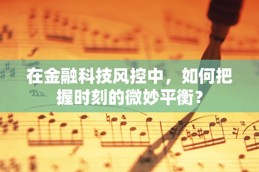 在金融科技风控中，如何把握时刻的微妙平衡？