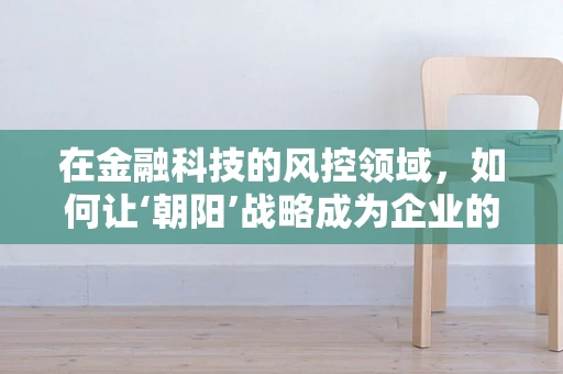 在金融科技的风控领域，如何让‘朝阳’战略成为企业的‘护城河’？