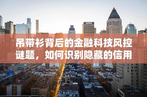 吊带衫背后的金融科技风控谜题，如何识别隐藏的信用风险？