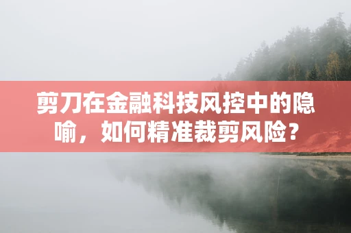 剪刀在金融科技风控中的隐喻，如何精准裁剪风险？