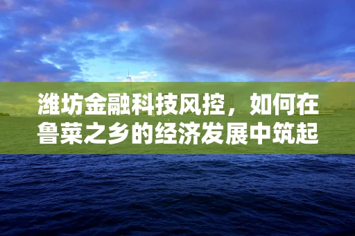 潍坊金融科技风控，如何在鲁菜之乡的经济发展中筑起安全防线？