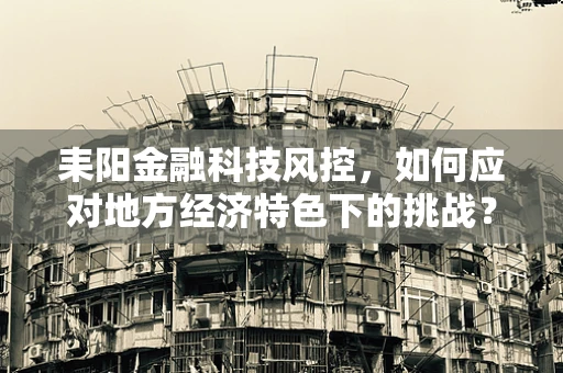 耒阳金融科技风控，如何应对地方经济特色下的挑战？
