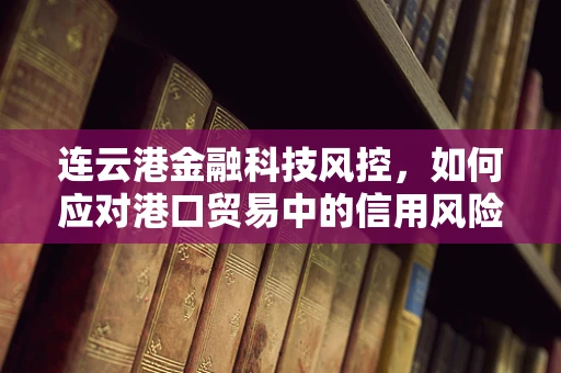 连云港金融科技风控，如何应对港口贸易中的信用风险？