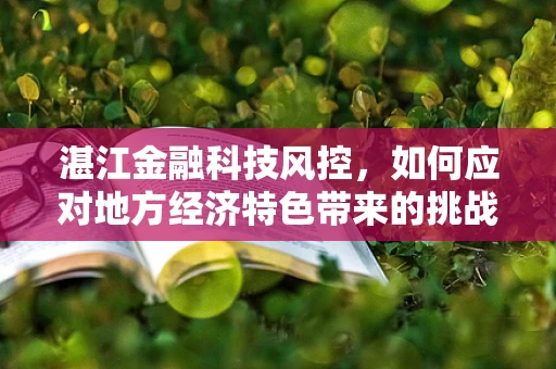 湛江金融科技风控，如何应对地方经济特色带来的挑战？
