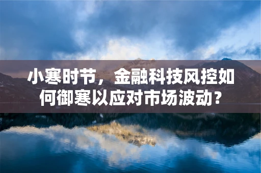 小寒时节，金融科技风控如何御寒以应对市场波动？