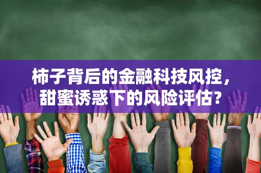 柿子背后的金融科技风控，甜蜜诱惑下的风险评估？