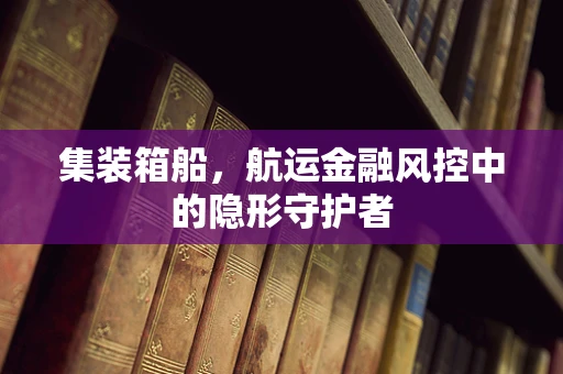 集装箱船，航运金融风控中的隐形守护者