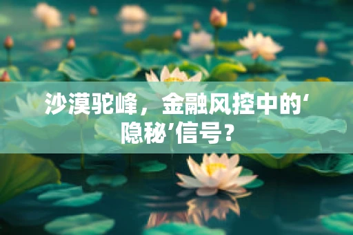 沙漠驼峰，金融风控中的‘隐秘’信号？