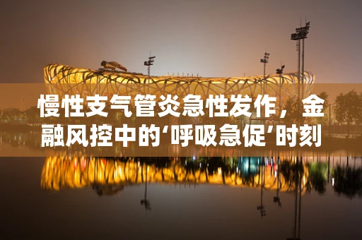 慢性支气管炎急性发作，金融风控中的‘呼吸急促’时刻