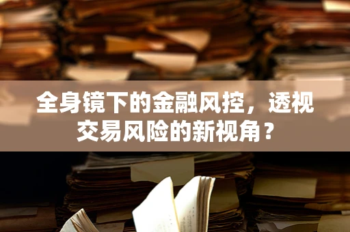 全身镜下的金融风控，透视交易风险的新视角？