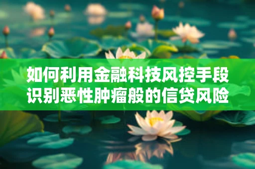 如何利用金融科技风控手段识别恶性肿瘤般的信贷风险？