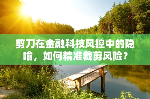 剪刀在金融科技风控中的隐喻，如何精准裁剪风险？