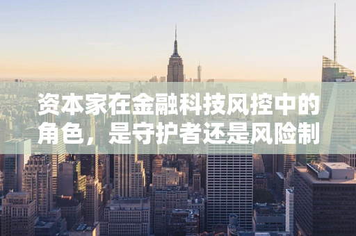 资本家在金融科技风控中的角色，是守护者还是风险制造者？