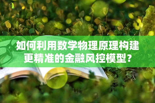 如何利用数学物理原理构建更精准的金融风控模型？