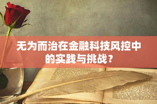 无为而治在金融科技风控中的实践与挑战？