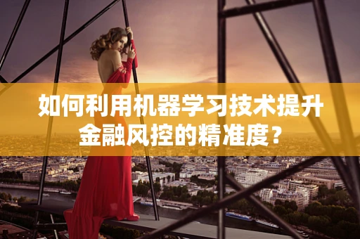 如何利用机器学习技术提升金融风控的精准度？