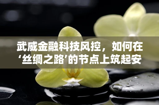 武威金融科技风控，如何在‘丝绸之路’的节点上筑起安全防线？