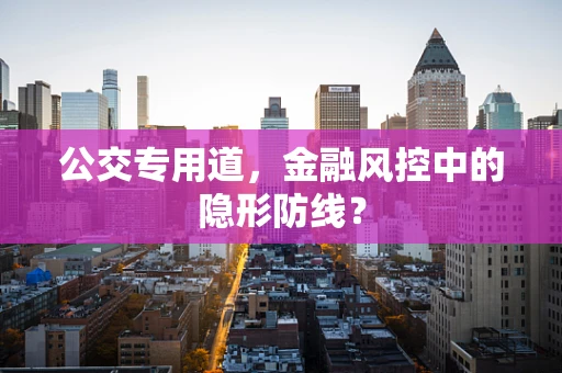 公交专用道，金融风控中的隐形防线？