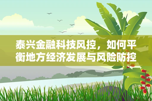 泰兴金融科技风控，如何平衡地方经济发展与风险防控？