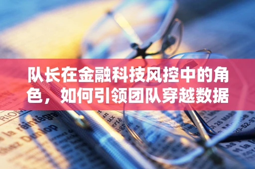 队长在金融科技风控中的角色，如何引领团队穿越数据迷雾？